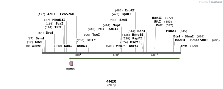 98398_map