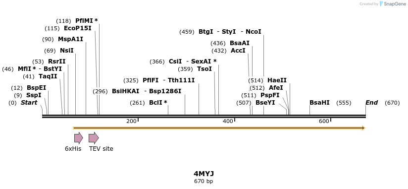 98399_map