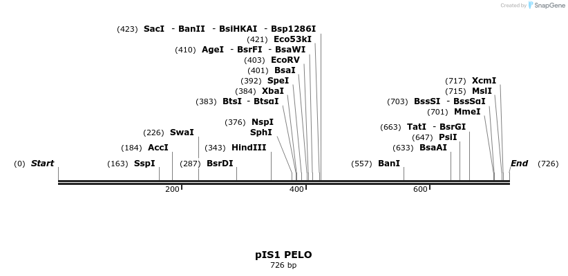 98400_map