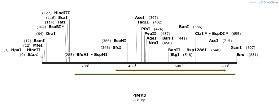 98401_map