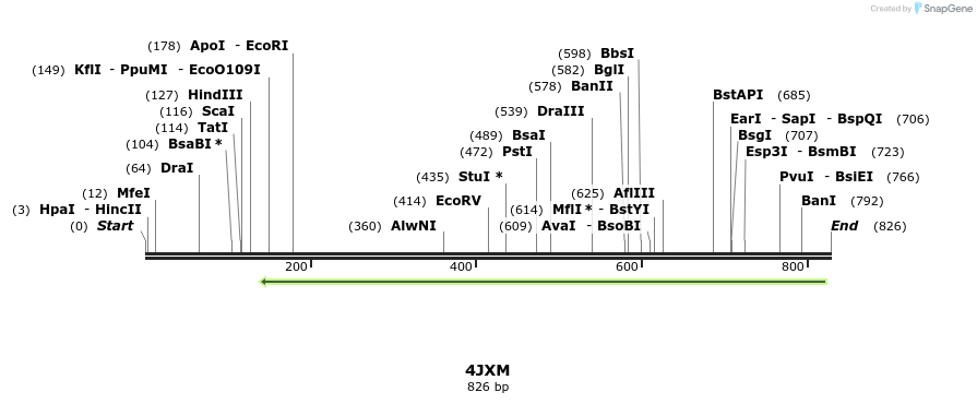 98404_map