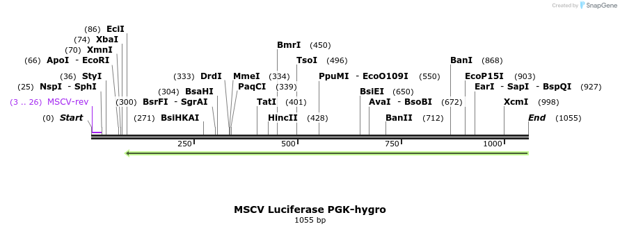 98405_map