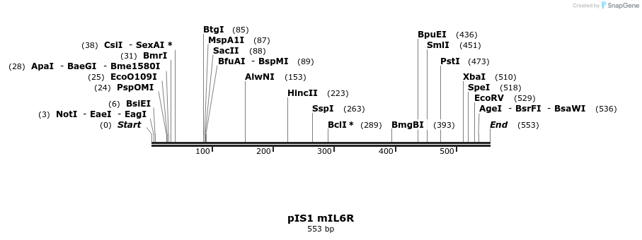 98406_map