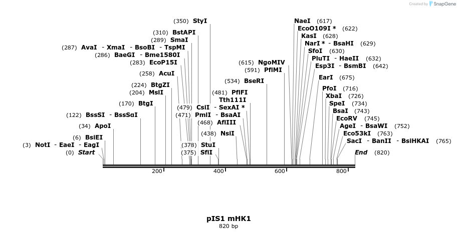 98407_map