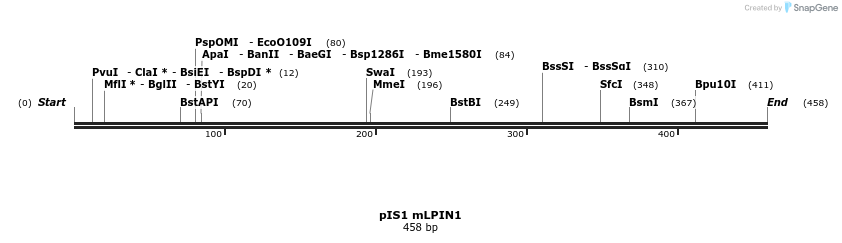 98410_map
