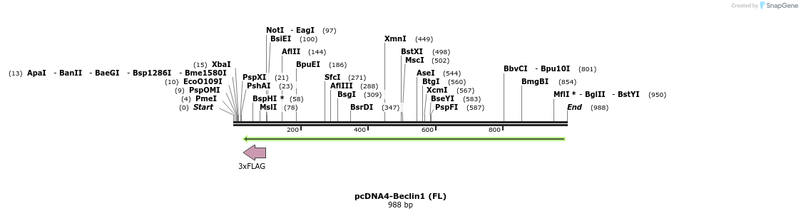 98411_map