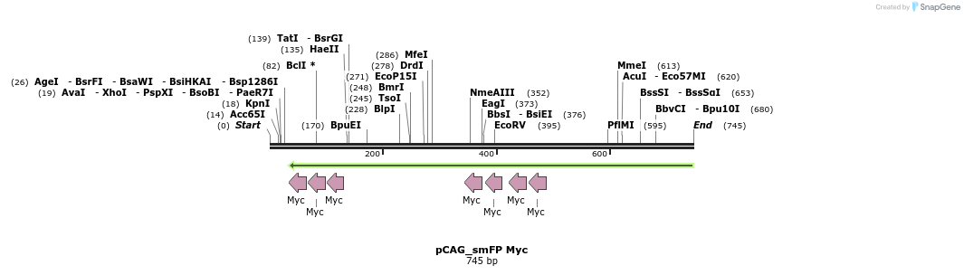 98417_map