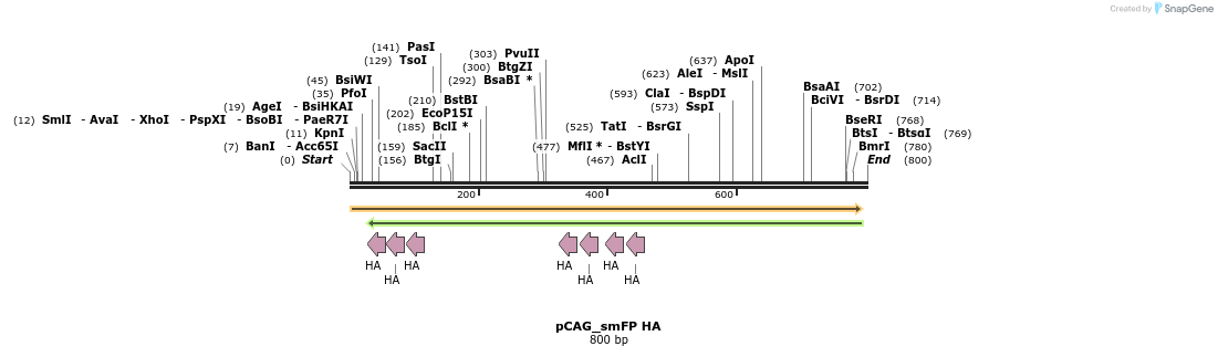 98419_map