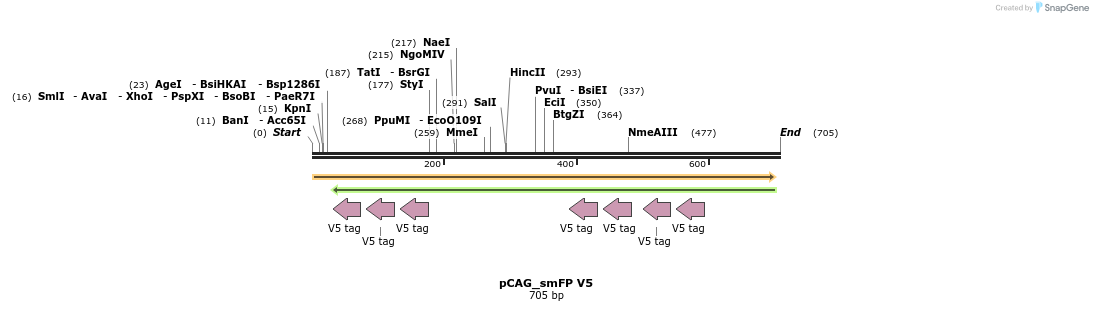 98421_map