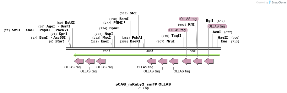 98422_map