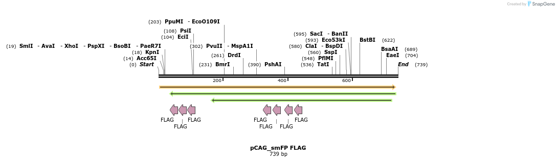 98423_map