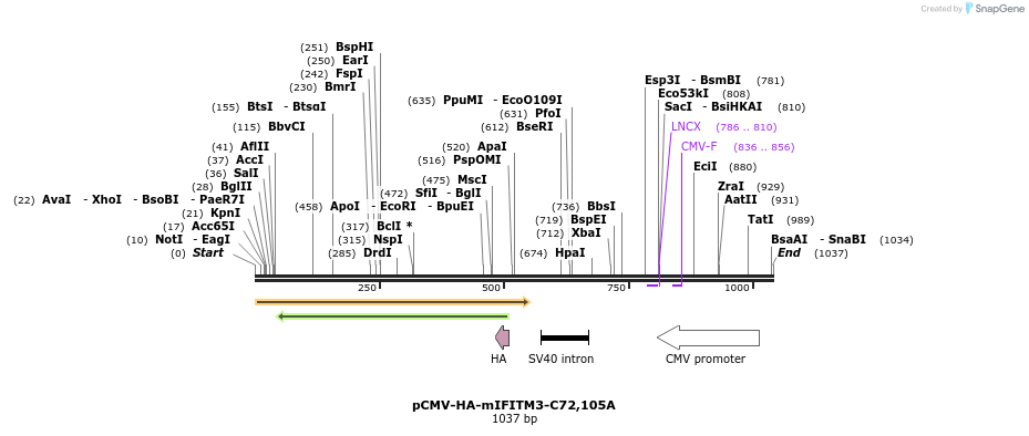 98429_map