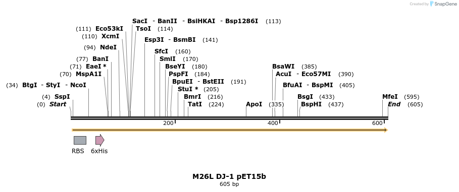 98431_map