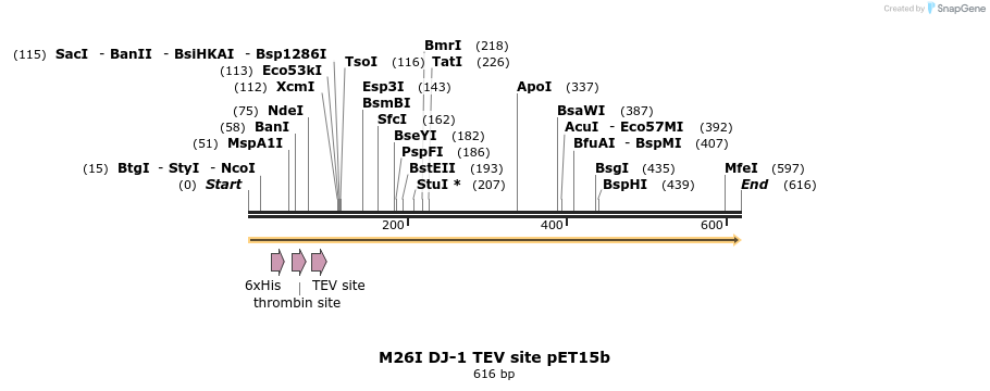 98445_map