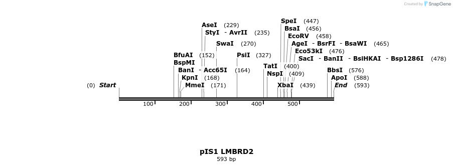98446_map