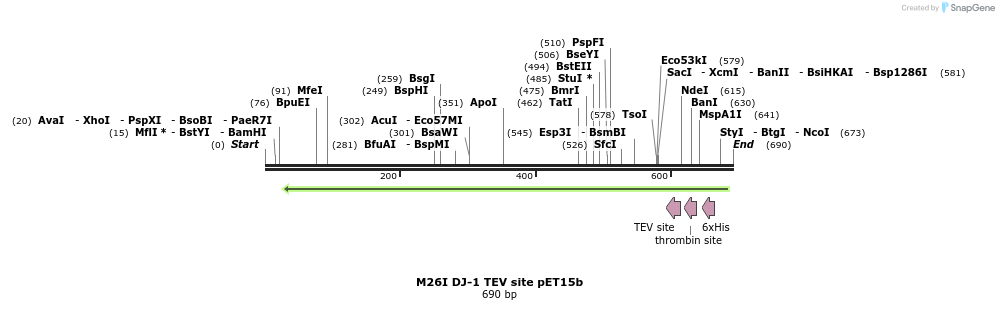 98447_map