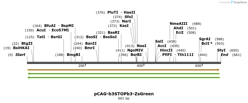 98449_map