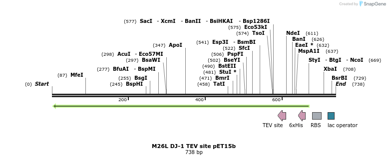 98453_map