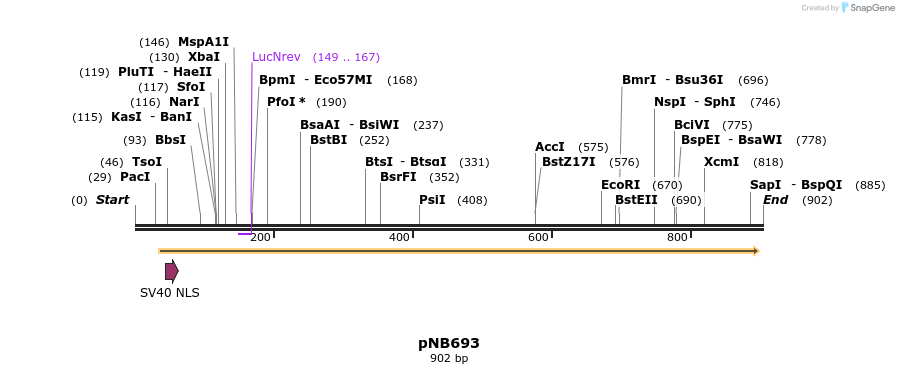 98458_map
