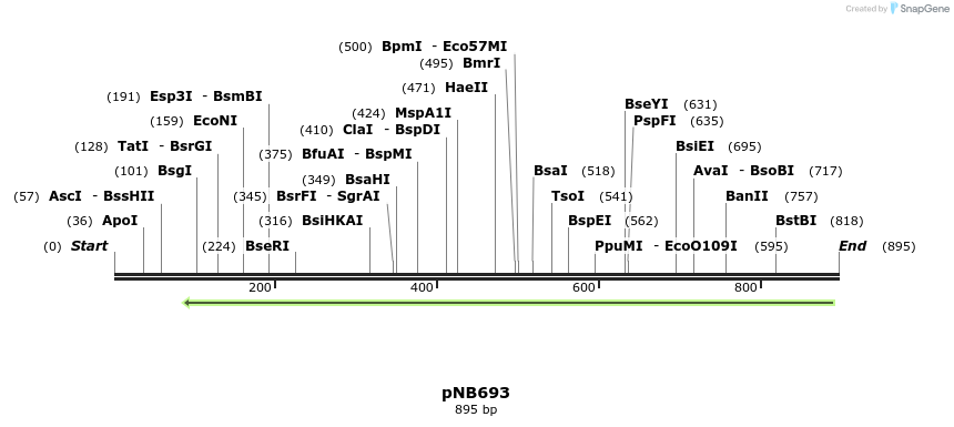 98459_map