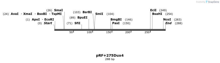 9846_map