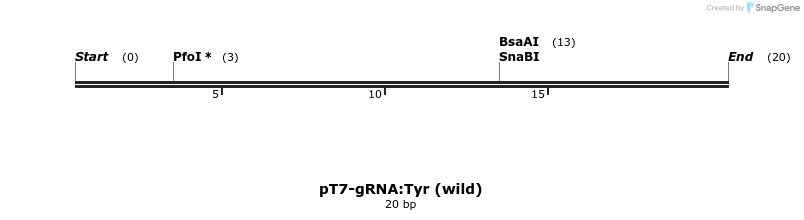98461_map