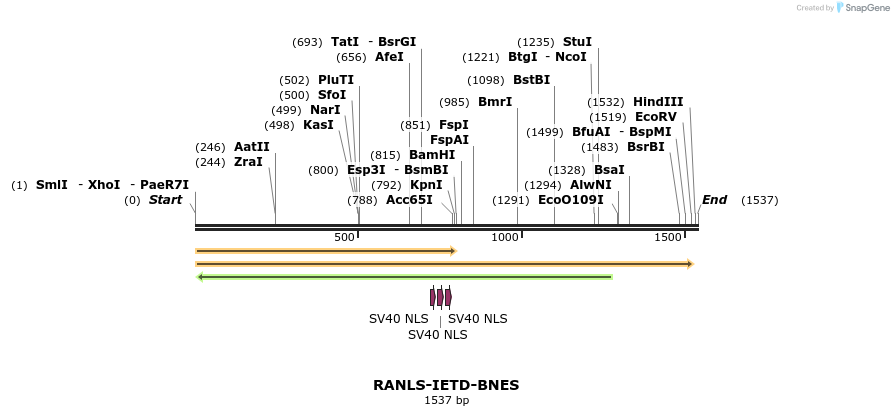 98466_map
