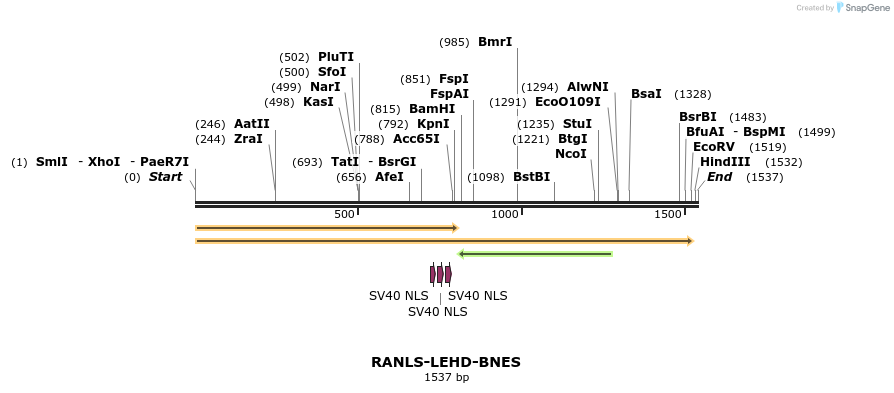 98467_map