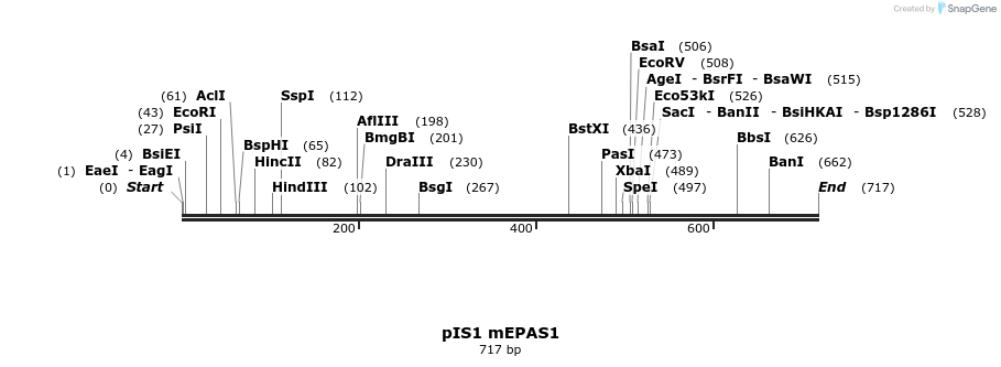98471_map