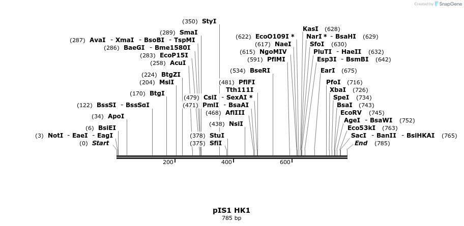 98472_map