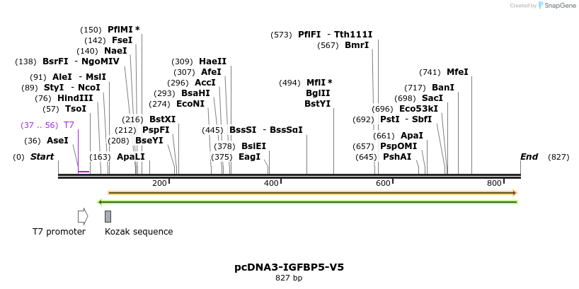 98473_map