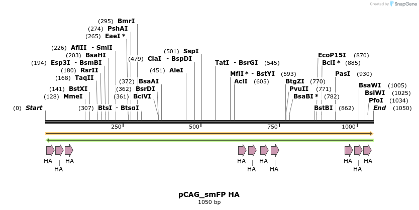 98475_map