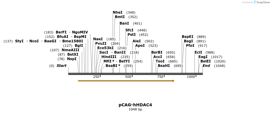 98481_map