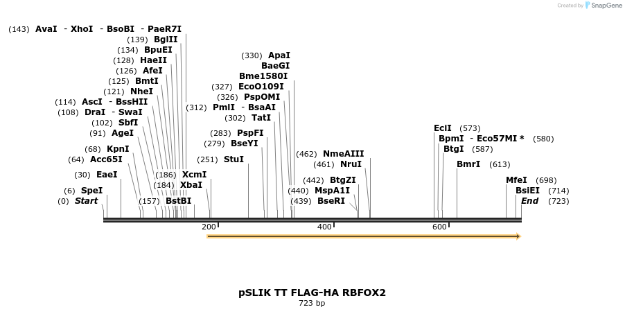 98485_map