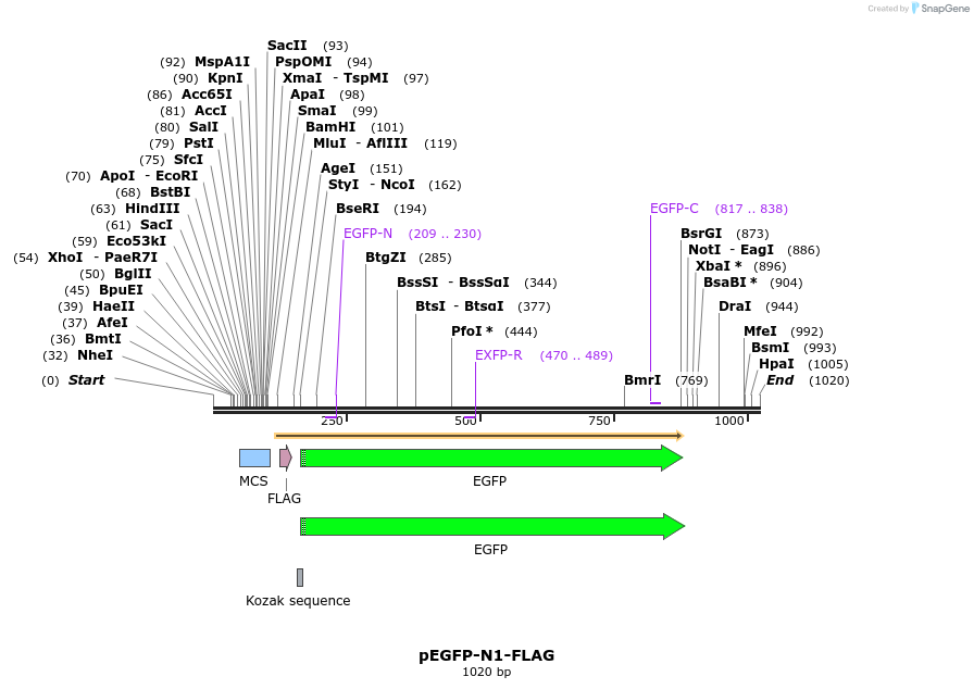 98486_map