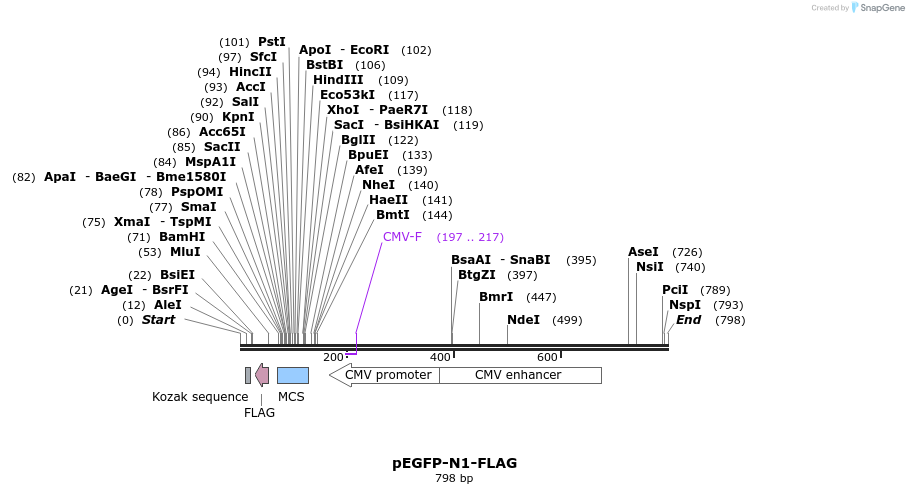 98487_map