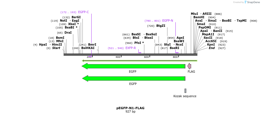 98488_map