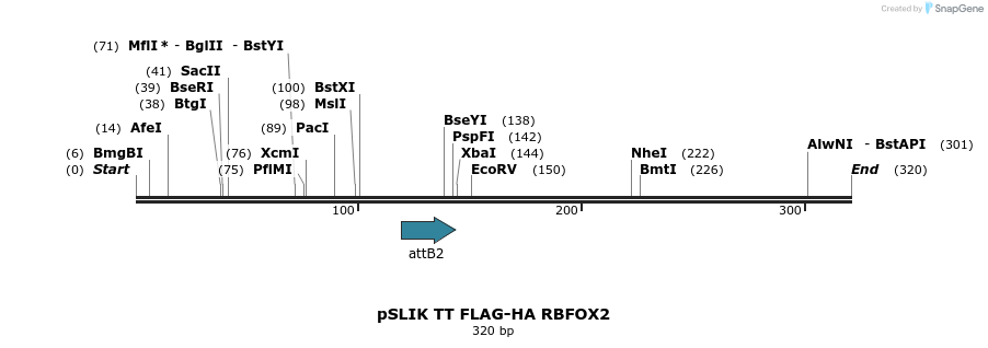 98489_map