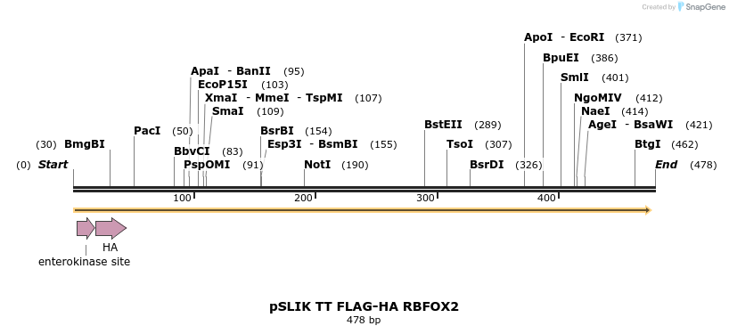 98492_map
