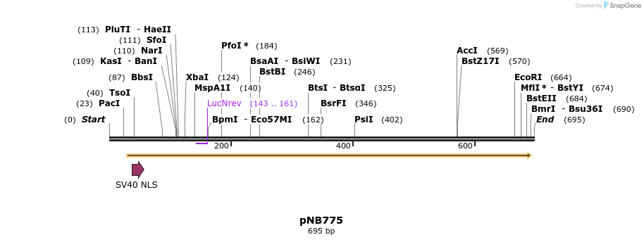 98493_map