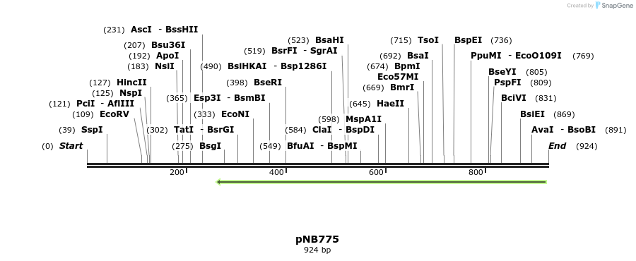 98494_map