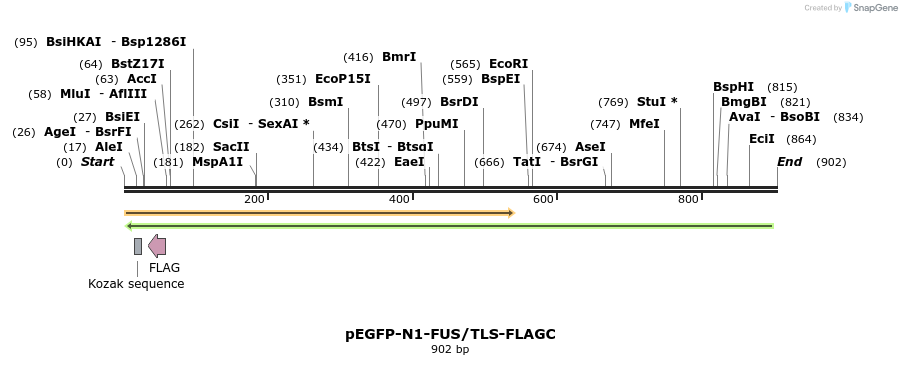 98495_map