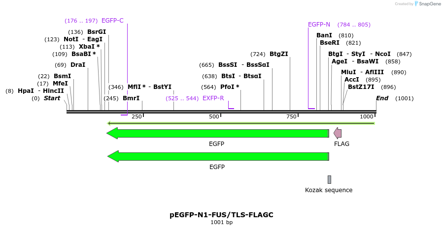 98496_map