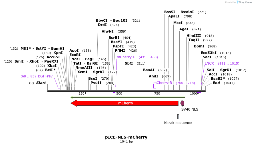 98499_map