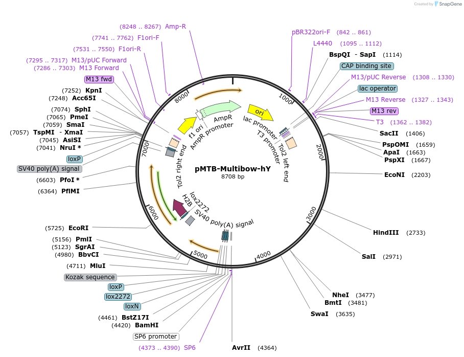 98504_map
