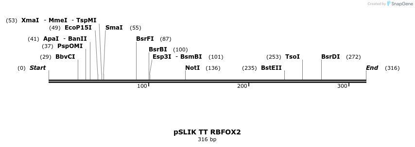 98505_map