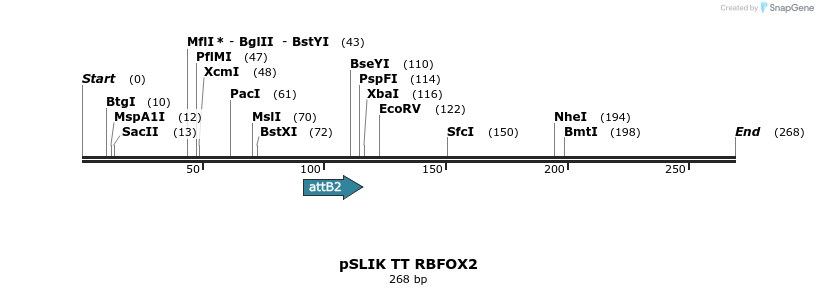 98506_map