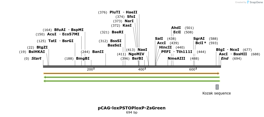 98509_map