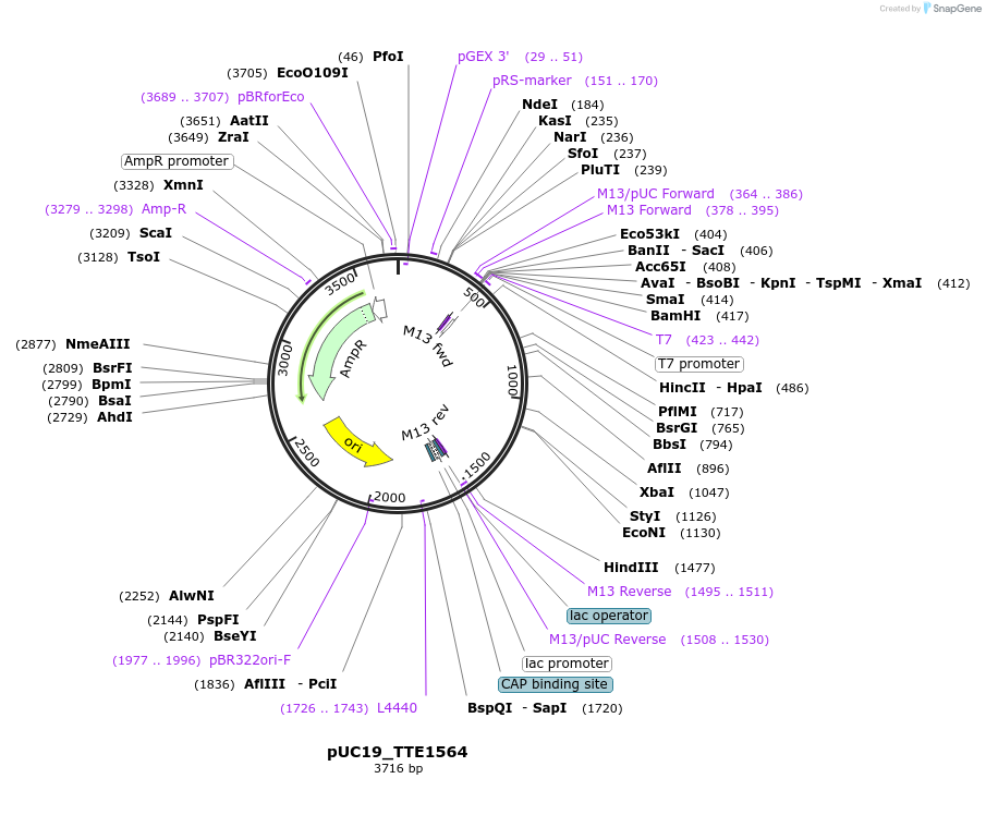 98510_map