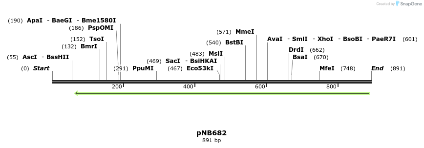 98512_map